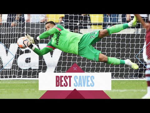 Areola's Best Saves From The Season So Far 🤩