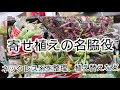 [多肉植物]寄せ植えの名脇役！ネックレス系！