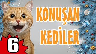 Konuşan Kediler 6 - En Komik Kedi Videoları