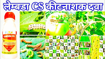 Lambda cyhalothrin 4.9%cs uses in Hindi || कीटनाशक दवा @AmitBeejBhandarM