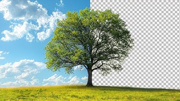 How to Remove Background from a Tree in Photoshop!