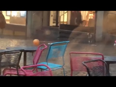 happy-dog-enthusiastically-plays-with-balloon-in-the-rain