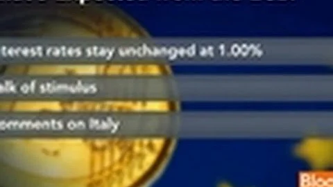 ECB Holds Benchmark Interest Rate Steady at 1%