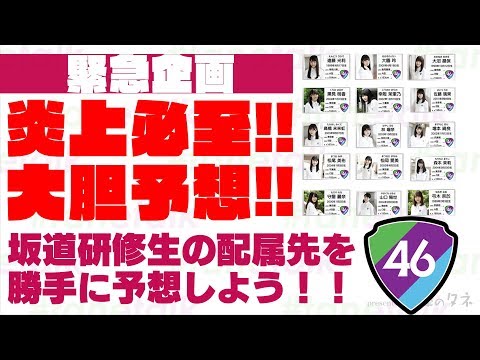 Emergency Special!! Let's Speculate on Where the Sakamichi Trainees Will Be Assigned!!