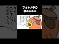 フォトナ中の親あるある