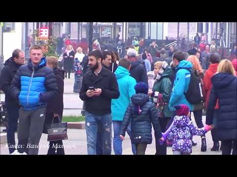Клен ты мой