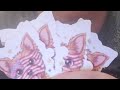 Why I Created a Yorkie Sticker Set: A Tribute Wrapped in Whimsy