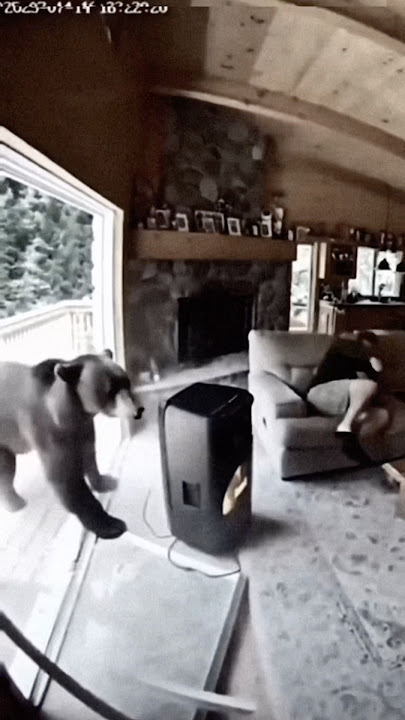 Yooo 😭 (Song: STEAL A BRAINROT FUNK) #stealabrainrot #phonk #phonkmusic #brazilianfunk