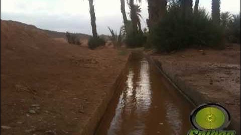 مقطع نادر للشيخ عبد الباسط عبد الصمد من سورة سبأ