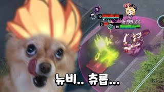 뉴비(아님)만 보면 흥분하는 사람 / 스증매그 하이라이트 [이터널 리턴]