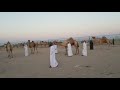 فرحة نفوس mp3