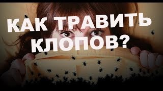 Как травить постельных клопов в квартире? Вызвали 