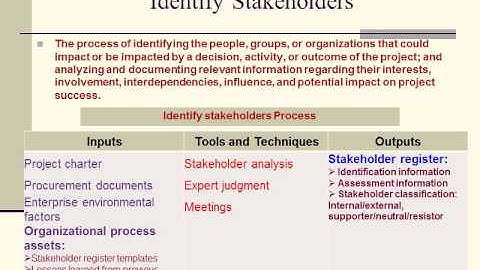 El Antary Project Stakeholder Management L1