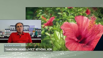 Tansiyon Dengeleyici Kür Önerisi | Prof Saraçoğlu