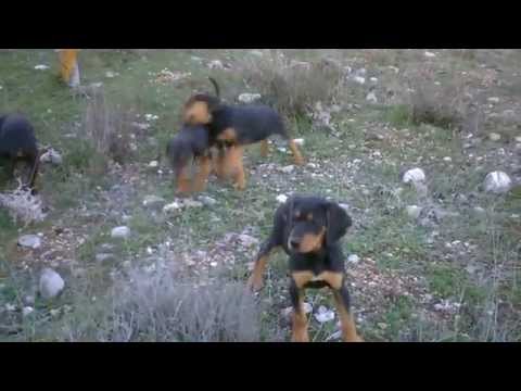 EΞ.ΛΑ.ΤΑΡ ( Εξολοθρευτές