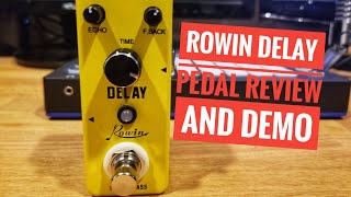 Rowin Delay Pedal Review & Synth Demo