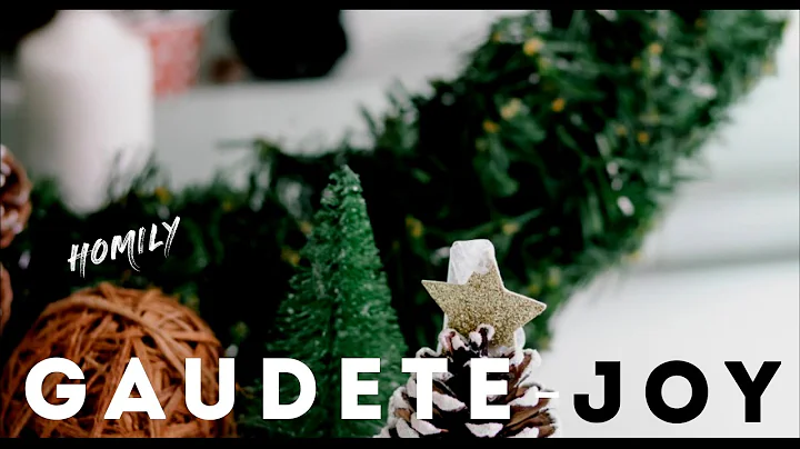 Homily for the 3rd Sunday of Advent Year A ( December 11, 2022 ) | Matthew 11:2-11( Gaudete Sunday )