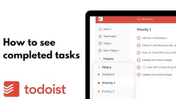 Todoist: How To See Completed Tasks Tutorial 2024