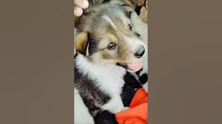 I just wanna dance (Slowed) 1 Hour