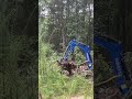 Clearing Down TREES with HUAYEE SHY10 #miniexcavator #homestead #huayee