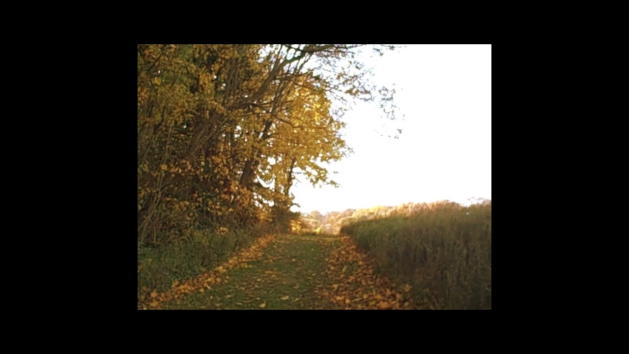 John Padovano - coffeehouse - November - "robin field"