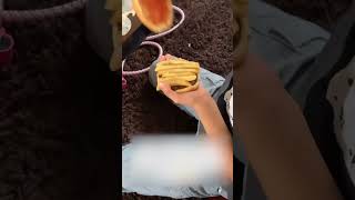 Dog Steals Kid's Burger As Soon As He Assembles It