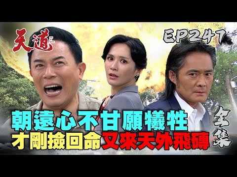 天道 EP247 完整版｜朝遠心不甘中開陽的計 願擋炸彈放生長勝雪卿 富米差點被送上路…瑞安飛鼠撲救海底游｜FIGHT FOR JUSTICE｜【萬士益冷氣】