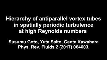 Hierarchy of vortices in developed turbulence