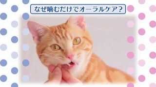 PETKISS FOR CAT オーラルケアトリーツ 商品紹介ビデオ／2分8秒／ライオン（字幕付き動画：字幕でご覧になりたい方は字幕ボタンをクリックしてください）