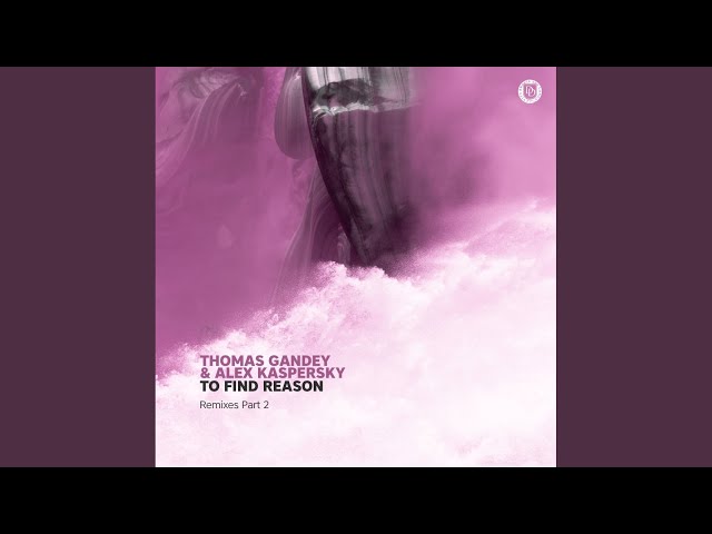 To Find Reason (S.ONE Remix)