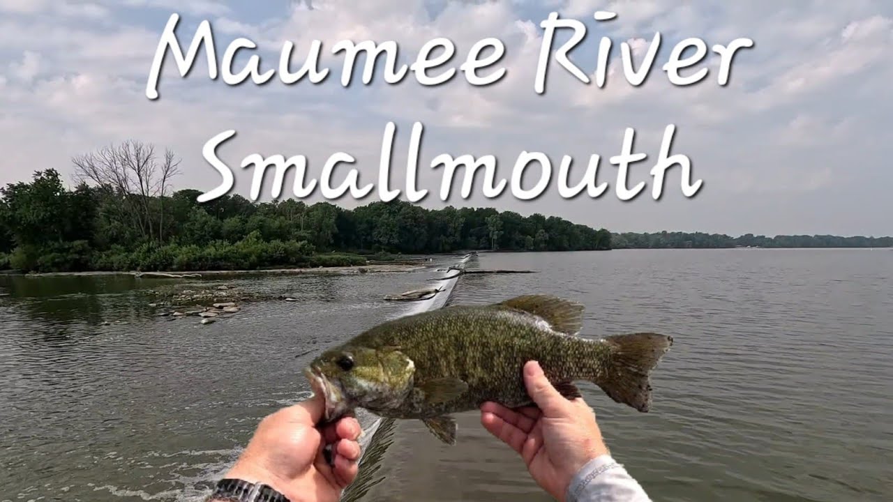Maumee River - Providence Dam (Ohio) Smallmouth Bass Fishing (6/20/24)