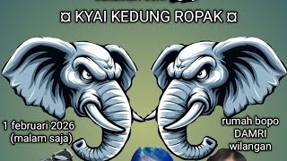 Download Lagu LIVE🔴SENI GAJAH 🐘 KYAI KEDUNG ROPAK    DI RMH BOPO DAMRI WILANGAN SAMBIT MP3