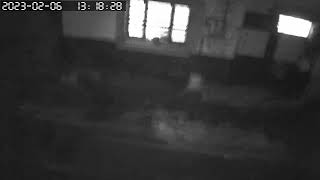 06 Şubat 417 2023 Deprem Sesi̇ Geli̇ş Ani Gazi̇antep