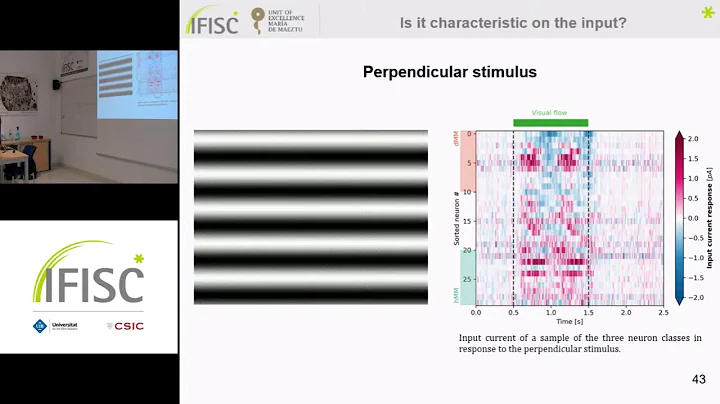Unveiling predictive coding mechanisms through computational modeling