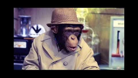 LANCELOT LINK Documentary