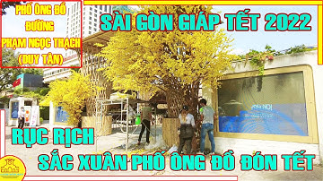 Sài Gòn GIÁP TẾT | RỤC RỊCH SẮC XUÂN Phố Ông Đồ 2022 | Đường Phạm Ngọc Thạch (Duy Tân) Q1