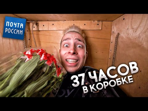 Отправил СЕБЯ ПО ПОЧТЕ своей БЫВШЕЙ ДЕВУШКЕ! **ПОЖАЛЕЛ ОБ ЭТОМ**