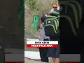 Lion Seen Near Palitana | Viral Video Shows Big Cat Roaming Shatrunjay Hill In Bhavnagar
