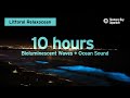 10 hours of bioluminescent waves  ocean sounds from monterey bay to chillrelaxstudywork to