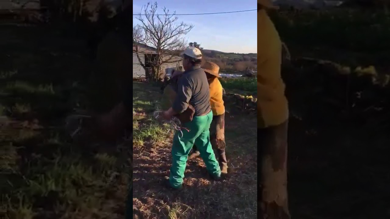 Os marcos.