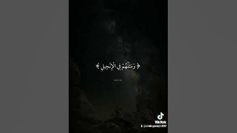 القرآن الكريم راحة نفسية#لا إله الا الله محمد رسول الله#🎧🎤🎶🇩🇿🇵🇸💗🎧✌✌🤲💖📻