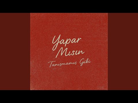 YAPAR MISIN 