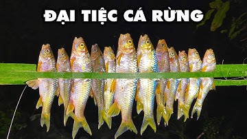 BẦY CÁ RỪNG NHIỀU CHƯA TỪNG THẤY | ĐẠI TIỆC CÁ RỪNG | Già Làng Tây Nguyên