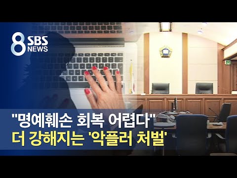 &amp;quot;명예훼손 회복 어렵다&amp;quot;…더 강해지는 &amp;#39;<strong>악플러</strong> <strong>처벌</strong>&amp;#39; / SBS