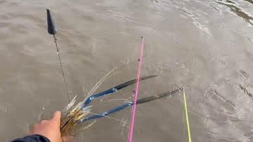 Câu tôm sông - 12h trưa đi câu tôm, gặp phải tôm càng khủng, cặp càng quá khỏe