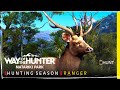 Way of the hunter  new dlc new zealand 17 species bow hunting bisons