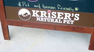 Molly's Day at Kriser's Natural Pet