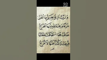 ولرب نازلة يضيق بها الفتى ذرعا وعند الله منها المخرج 