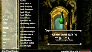 The Elder Scrolls V Skyrim Broken maybe.avi