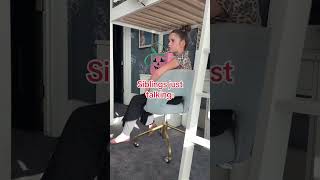 Celebrity I can't even explain how real this is and I full admit this is me....#siblings #sisters #twins Profile